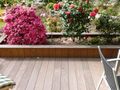 Blumen einfassung