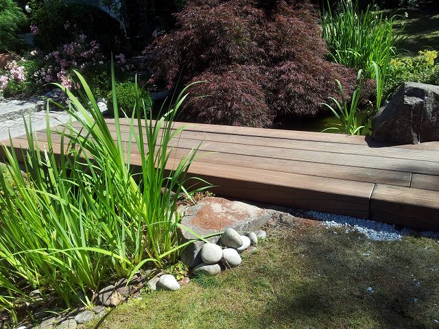 Brücke aus Bongosie